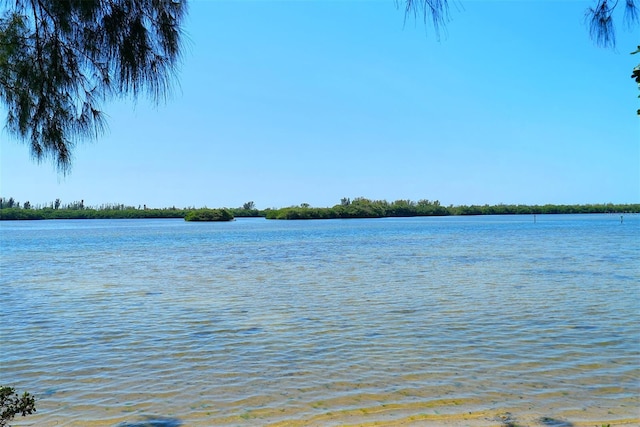 4832 Independence Dr, Bradenton, FL 34210 - photo 62