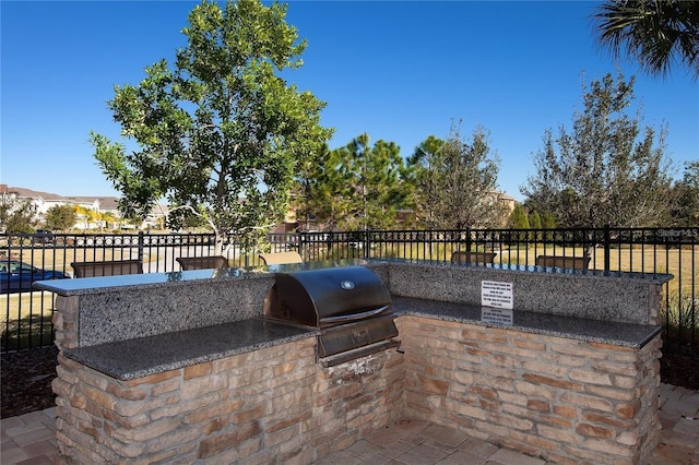 11434 Spring Gate Trl, Bradenton, FL 34211 - view of patio / terrace with exterior kitchen