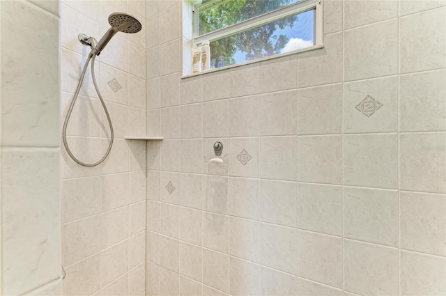 208 147th St NE, Bradenton, FL 34212 - full bathroom featuring tiled shower