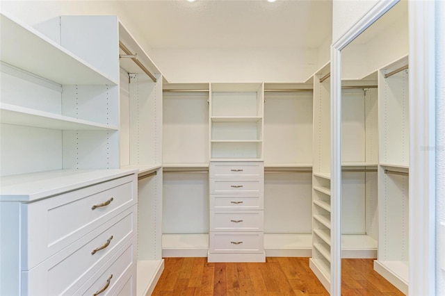6423 Royal Tern Cir, Lakewood Ranch, FL 34202 - spacious closet featuring light wood-style flooring