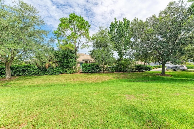 6423 Royal Tern Cir, Lakewood Ranch, FL 34202 - view of green lawn