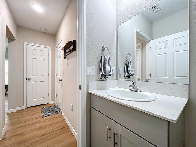 12832 Oak Hill Way, Parrish, FL 34219 - bathroom featuring wood finished floors and vanity