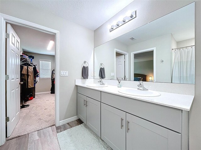 12832 Oak Hill Way, Parrish, FL 34219 - bathroom with wood finished floors, double vanity, a walk in closet, and a textured ceiling
