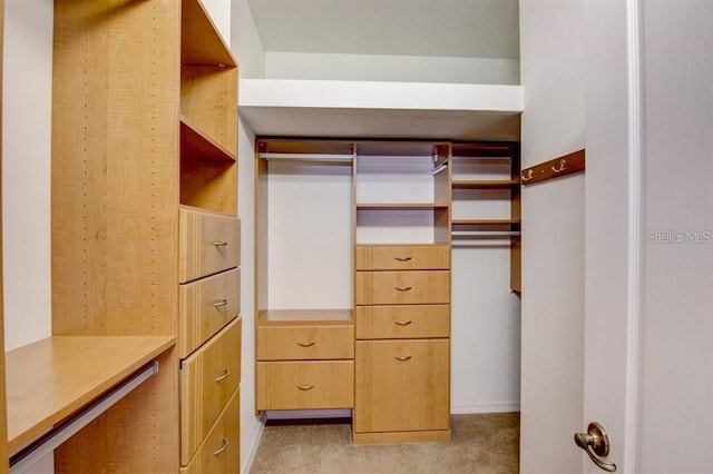 8168 Villa Grande Ct, Sarasota, FL 34243 - walk in closet with light carpet