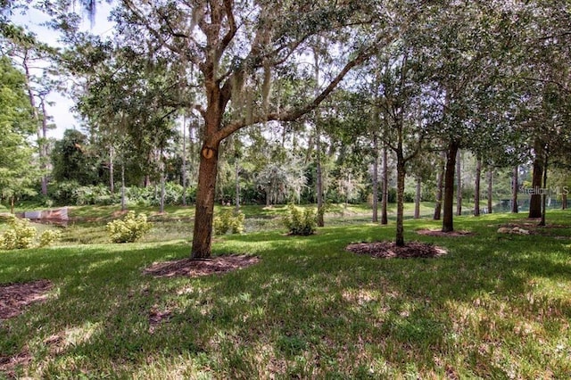 8168 Villa Grande Ct, Sarasota, FL 34243 - view of grassy yard