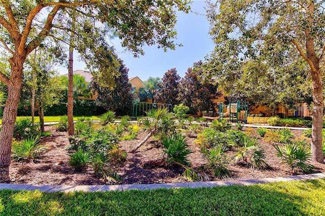 8168 Villa Grande Ct, Sarasota, FL 34243 - view of yard