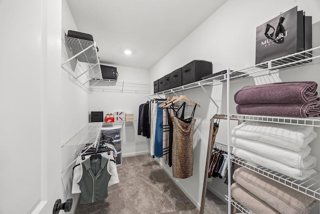6563 Silverstar Dr, Sarasota, FL 34240 - walk in closet with carpet