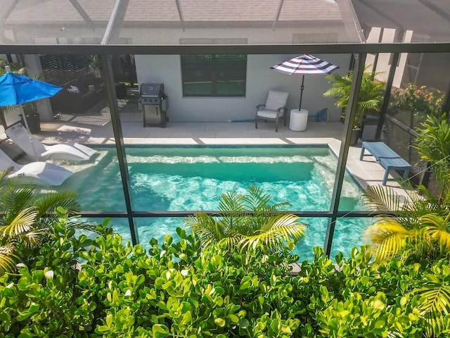 6563 Silverstar Dr, Sarasota, FL 34240 - swimming pool featuring a patio, glass enclosure, and a grill