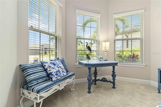 4540 Terrazza Ct, Bradenton, FL 34211 - living area featuring carpet and baseboards