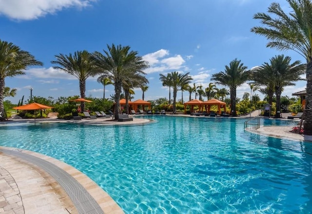 4540 Terrazza Ct, Bradenton, FL 34211 - community pool with a gazebo and a patio area