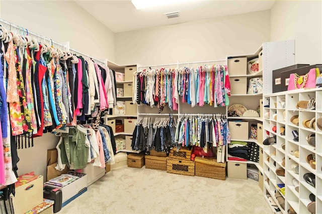 4540 Terrazza Ct, Bradenton, FL 34211 - spacious closet with carpet floors