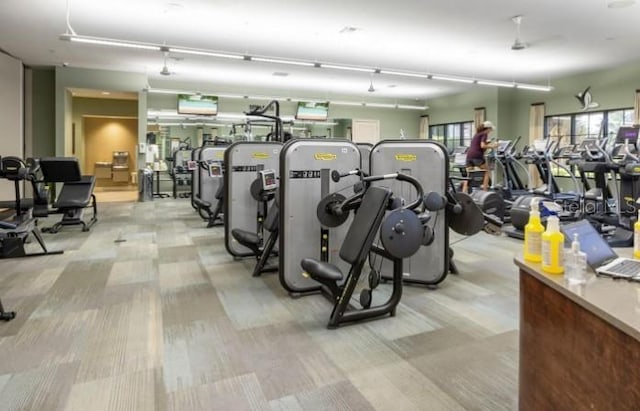4540 Terrazza Ct, Bradenton, FL 34211 - gym with light carpet