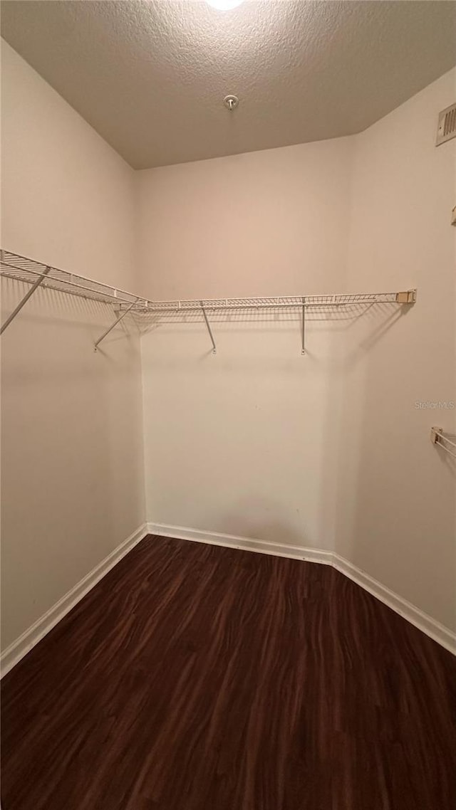 4207 S Dale Mabry Hwy Unit 6308, Tampa, FL 33611 - photo 5