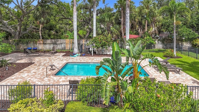 2220 Bahia Vista St Unit G4, Sarasota, FL 34239 - community pool with a fenced backyard, a patio area, and view of wooded area