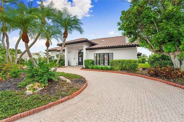 1484 Seafarer Dr, Osprey, FL 34229 - mediterranean / spanish-style house with curved driveway, stucco siding, and a tiled roof