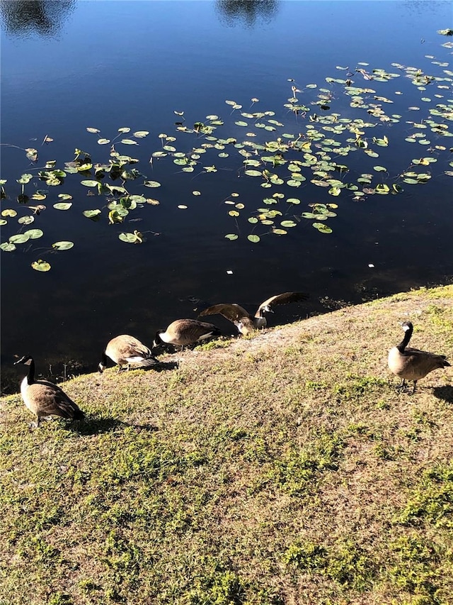 2636 Hidden Lake Dr N Unit G, Sarasota, FL 34237 - view of yard with a water view
