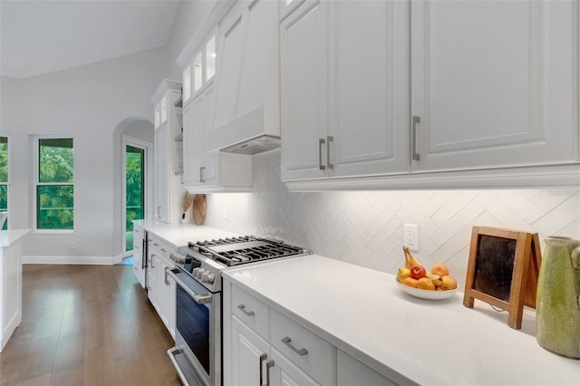 8102 Waterview Blvd, Lakewood Ranch, FL 34202 - kitchen featuring high end stainless steel range, white cabinetry, backsplash, light countertops, and arched walkways