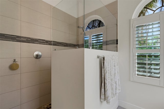 8102 Waterview Blvd, Lakewood Ranch, FL 34202 - bathroom featuring a walk in shower