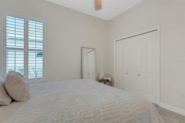 8102 Waterview Blvd, Lakewood Ranch, FL 34202 - bedroom with multiple windows, carpet, ceiling fan, and a closet