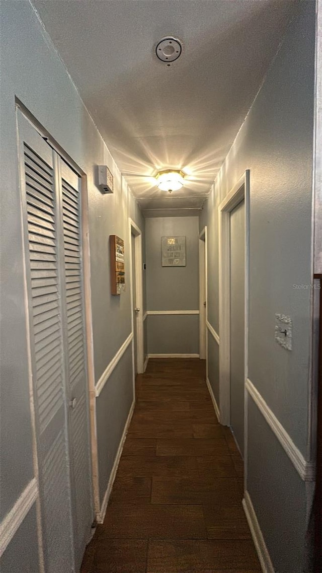 23067 Elmira Blvd, Punta Gorda, FL 33980 - hallway featuring dark wood finished floors