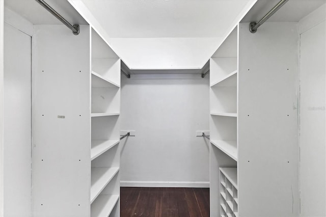 2866 E Rainbow Cir, Sarasota, FL 34231 - walk in closet with wood finished floors