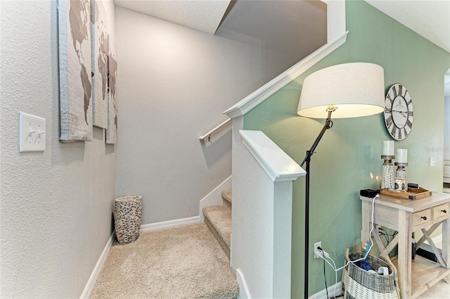 8676 Ice Wine St, Sarasota, FL 34238 - stairs with carpet flooring and a textured wall