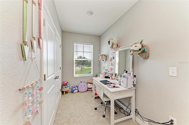 8676 Ice Wine St, Sarasota, FL 34238 - home office with carpet floors
