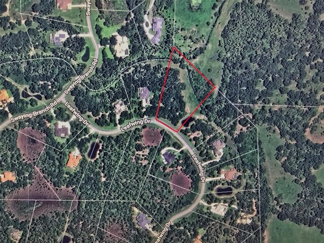 10736 Leafwing Dr, Sarasota, FL 34241 - photo 11