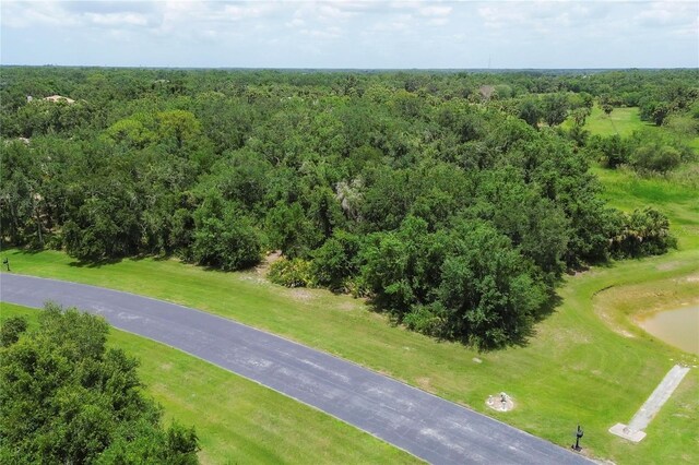 10736 Leafwing Dr, Sarasota, FL 34241 - photo 13