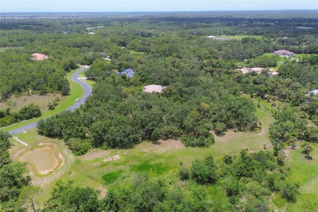 10736 Leafwing Dr, Sarasota, FL 34241 - photo 25