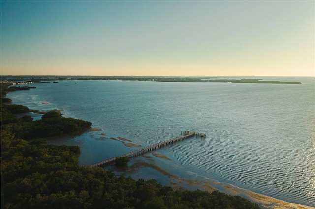2511 Lantana Ln, Palmetto, FL 34221 - water view