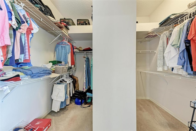 11915 Oak Ridge Dr, Parrish, FL 34219 - spacious closet with carpet