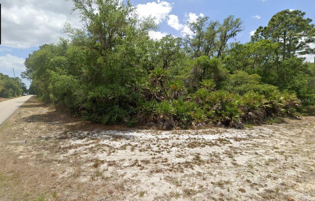 2305 Dodge St, Port Charlotte, FL 33948 - photo 3