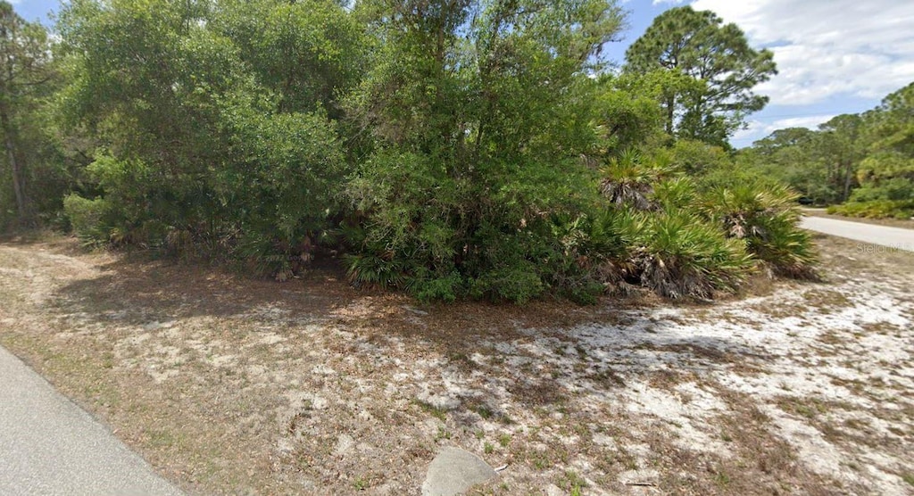 2305 Dodge St, Port Charlotte, FL 33948 - photo 4