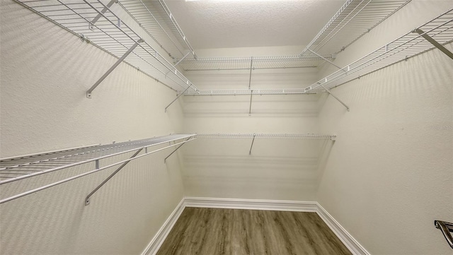 1512 3rd Street Cir E, Palmetto, FL 34221 - walk in closet featuring wood finished floors