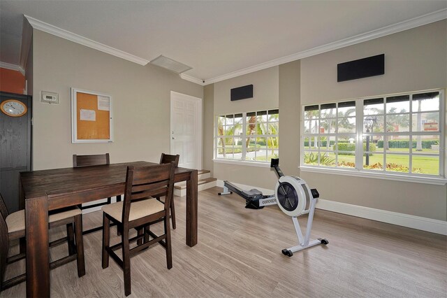 1512 3rd Street Cir E, Palmetto, FL 34221 - office with ornamental molding and light wood-style floors