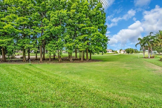 6908 Stoneywalk Ct, Bradenton, FL 34203 - view of green lawn
