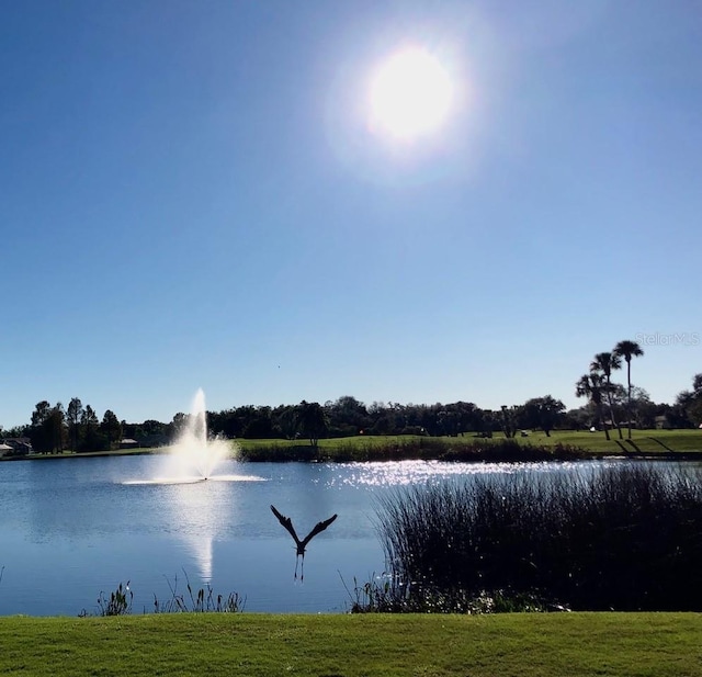 6908 Stoneywalk Ct, Bradenton, FL 34203 - water view