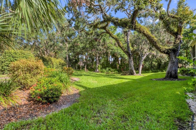 7866 Eagle Creek Dr Unit 7866, Sarasota, FL 34243 - view of grassy yard