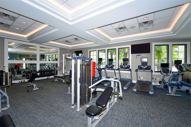 5910 Hevena Ct, Palmetto, FL 34221 - exercise room featuring carpet floors, a raised ceiling, and healthy amount of natural light