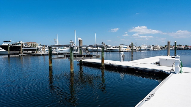 610 Riviera Dunes Way Unit 306, Palmetto, FL 34221 - dock area with a water view and boat lift