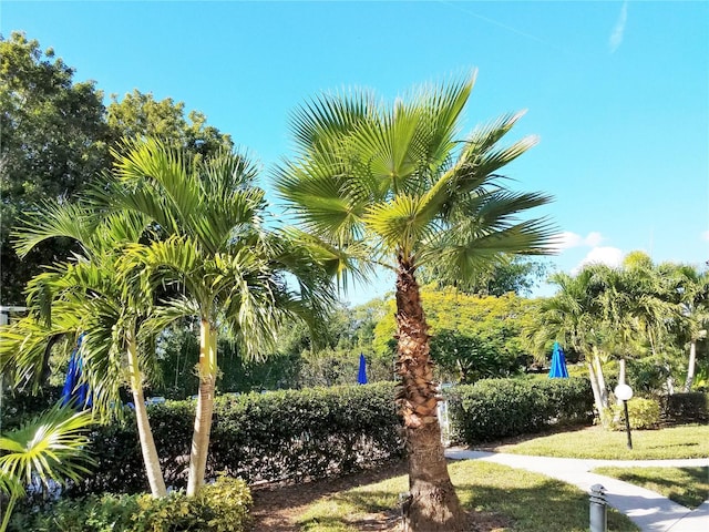 2155 Wood St Unit A26, Sarasota, FL 34237 - photo 22