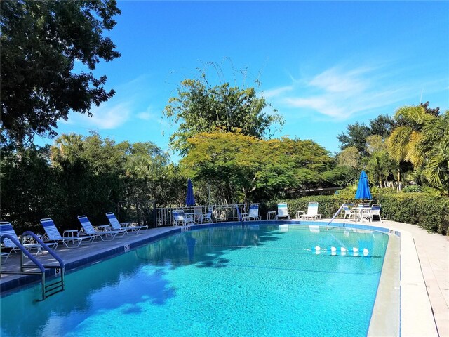2155 Wood St Unit A26, Sarasota, FL 34237 - photo 24