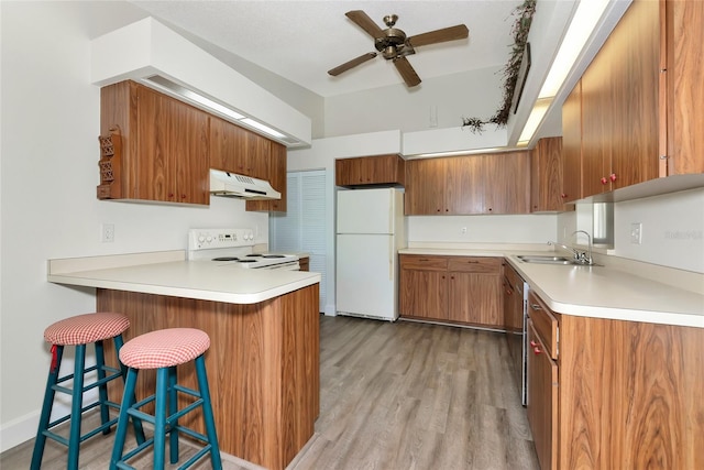 26147 L And J Rd, Myakka City, FL 34251 - kitchen featuring white appliances, under cabinet range hood, a peninsula, a ceiling fan, and brown cabinets