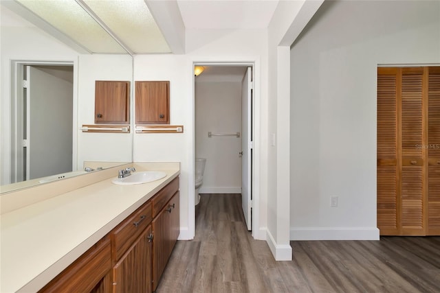26147 L And J Rd, Myakka City, FL 34251 - bathroom with wood finished floors, vanity, and a closet