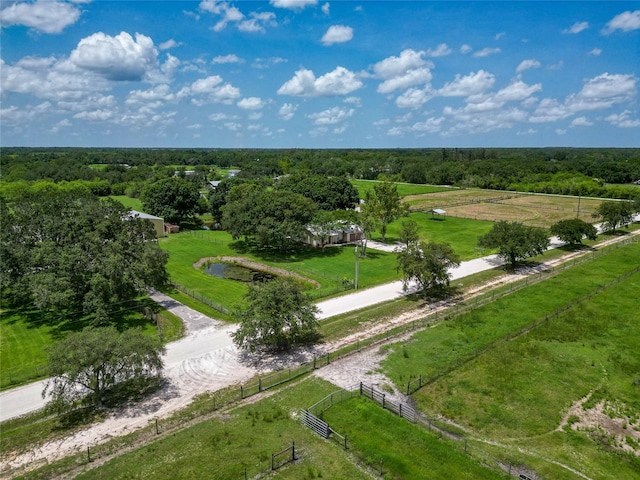 26147 L And J Rd, Myakka City, FL 34251 - overview of rural landscape with a forest
