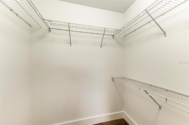 3005 Chianti Ct Unit 103, Sarasota, FL 34237 - walk in closet with wood finished floors