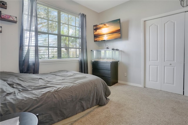 5419 Lakehurst Ct, Palmetto, FL 34221 - carpeted bedroom with a closet and baseboards