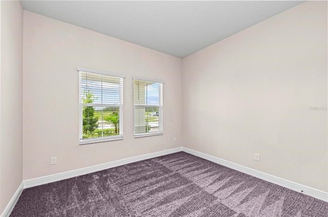 10309 Longmeadow Ave, Parrish, FL 34219 - photo 40