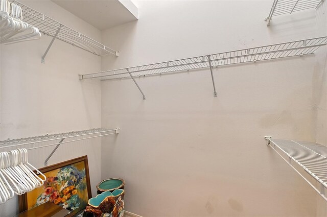 5839 Los Verdes Ct, Bradenton, FL 34210 - view of spacious closet
